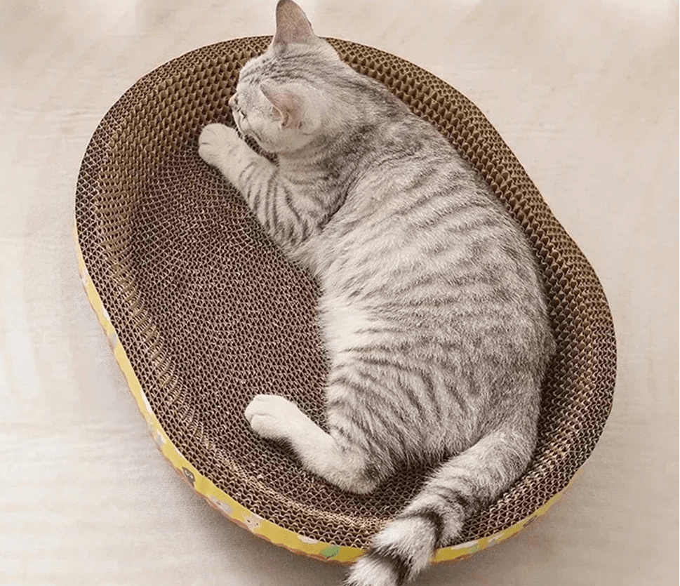 Griffoir planche à gratter - ChatMour