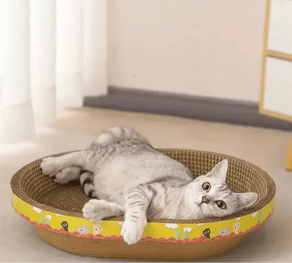 Griffoir planche à gratter - ChatMour