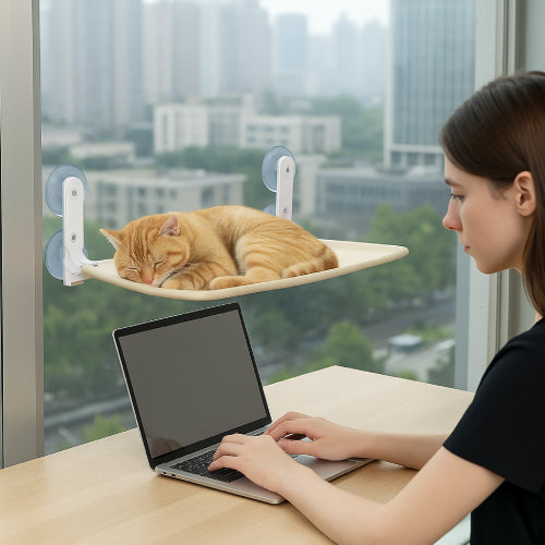 Hamac de fenêtre pour chat fille