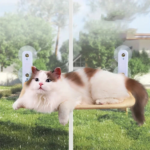 Hamac de fenêtre pour chat ventouse