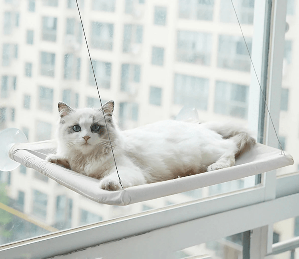 Hamac suspendu chat - ChatMour