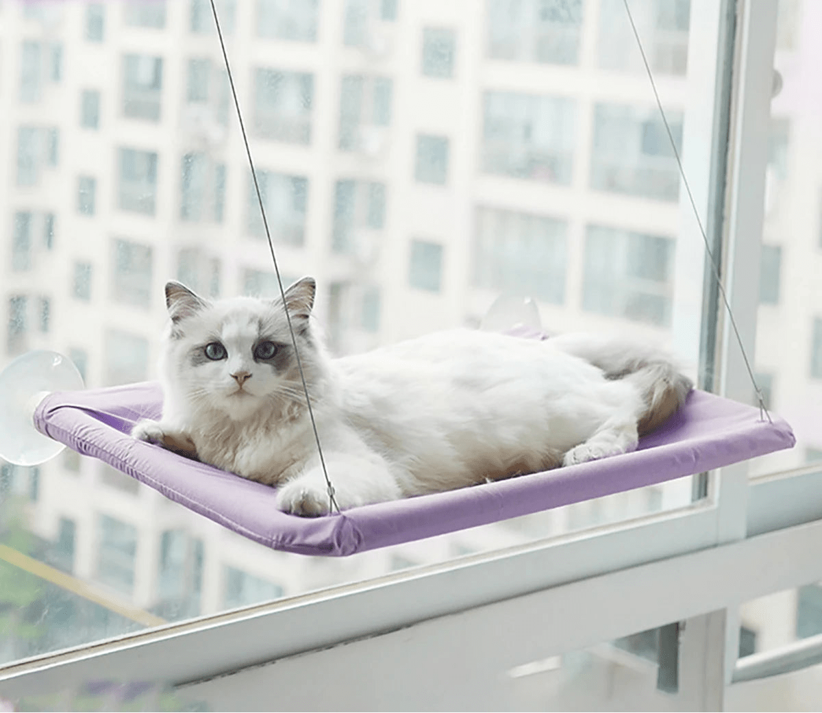 Hamac suspendu chat - ChatMour