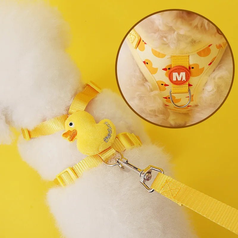 Harnais canard pour chat - ChatMour