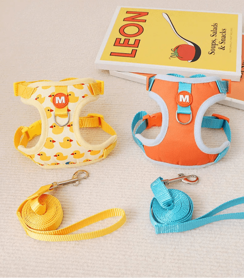 Harnais canard pour chat - ChatMour