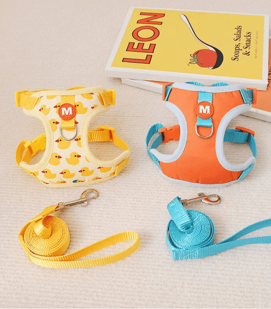 Harnais canard pour chat - ChatMour