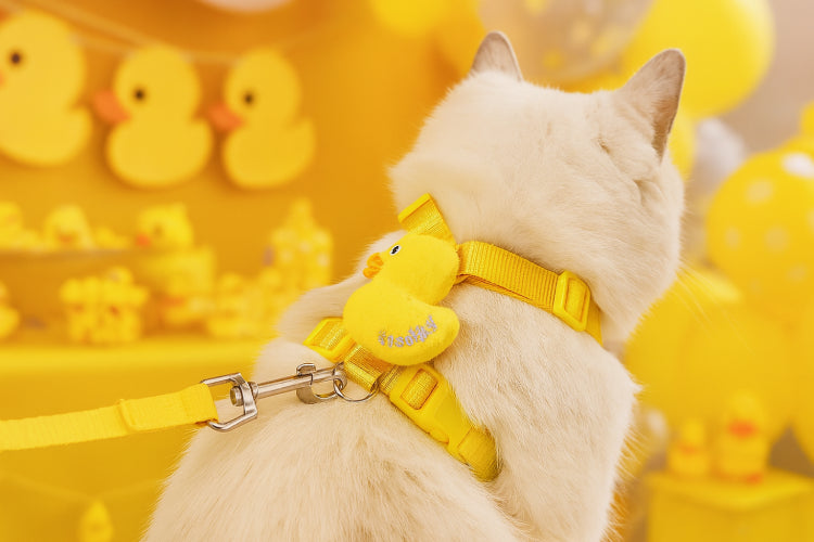Harnais canard pour chat thème jaune
