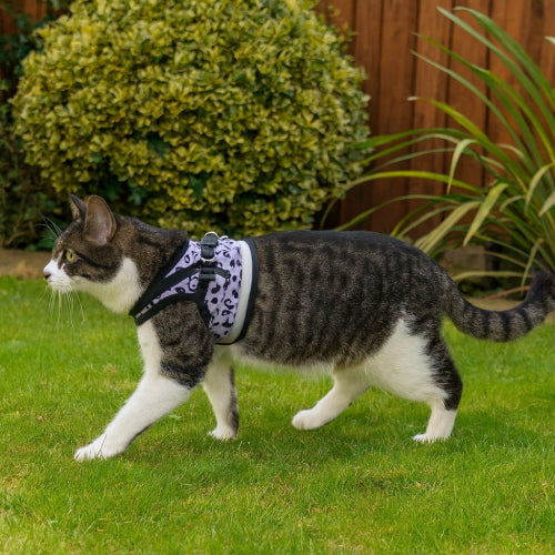 Harnais en nylon pour chat extérieur