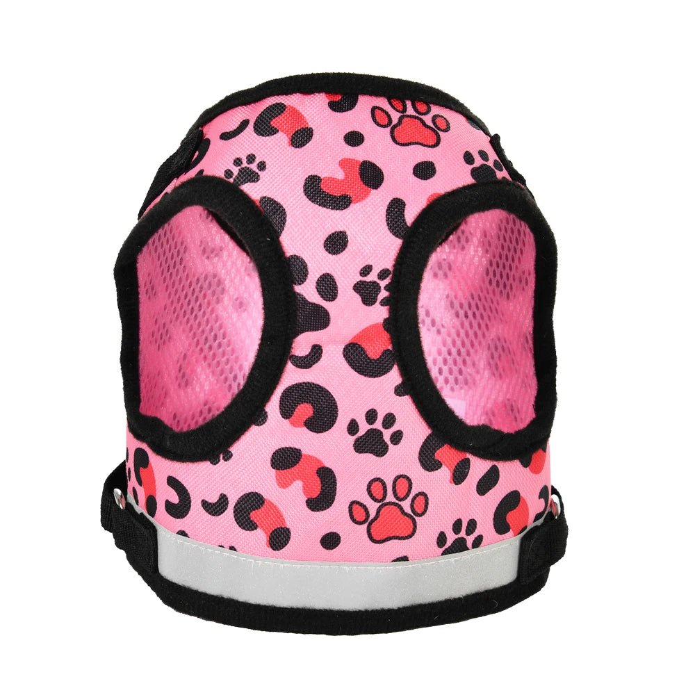 Harnais en nylon pour chat - ChatMour