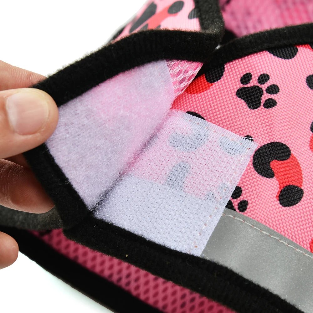 Harnais en nylon pour chat - ChatMour