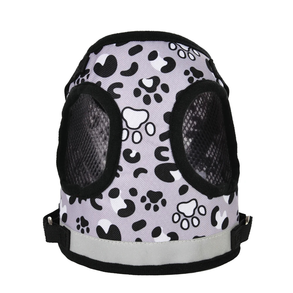 Harnais en nylon pour chat - ChatMour