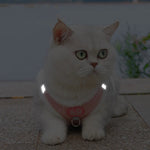 Harnais fourrure pour chat - Vignette | ChatMour