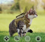 Harnais militaire pour chat - Vignette | ChatMour