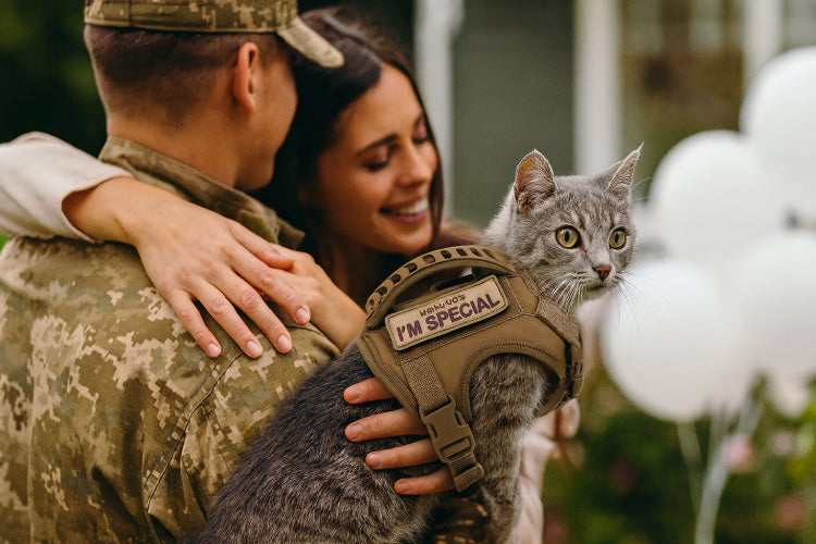 Harnais militaire pour chat I'm Special