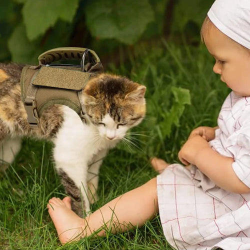 Harnais militaire pour chat enfant