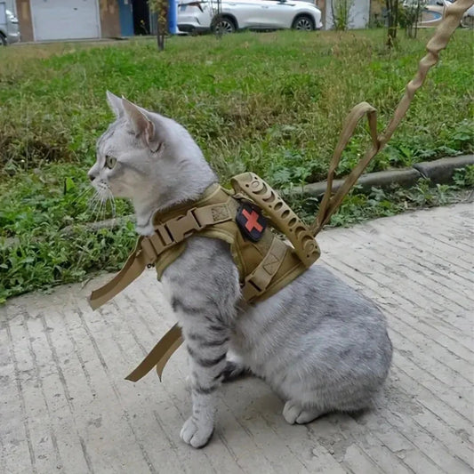 Harnais militaire pour chat - ChatMour