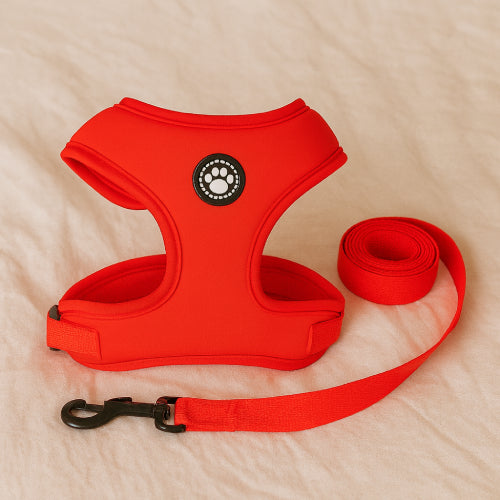 Harnais à motif pour chat  3D