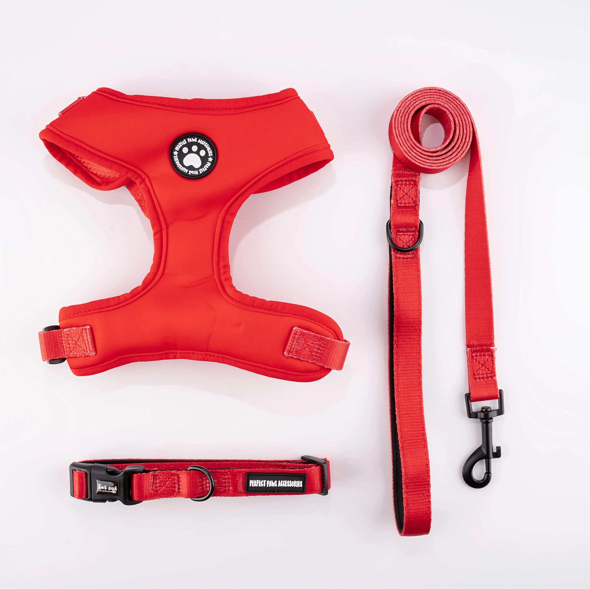 Harnais à motif pour chat - ChatMour