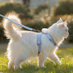 Harnais peluche pour chat - Vignette | ChatMour