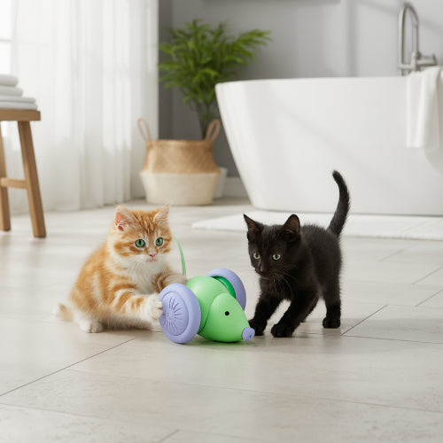 Jouet chat baignoire 