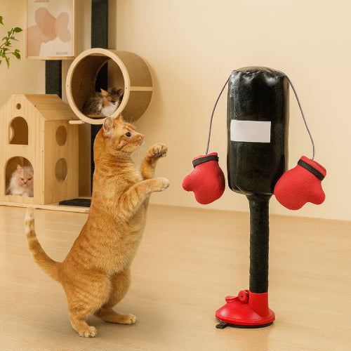 Jouet de Boxing  interactif pour chat  maison