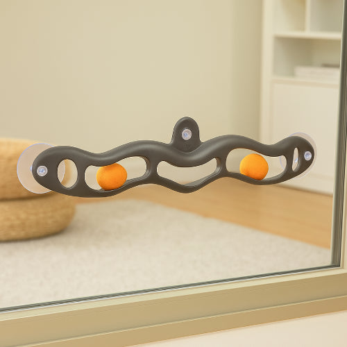 Jouet de fenêtre mural pour chat balle orange