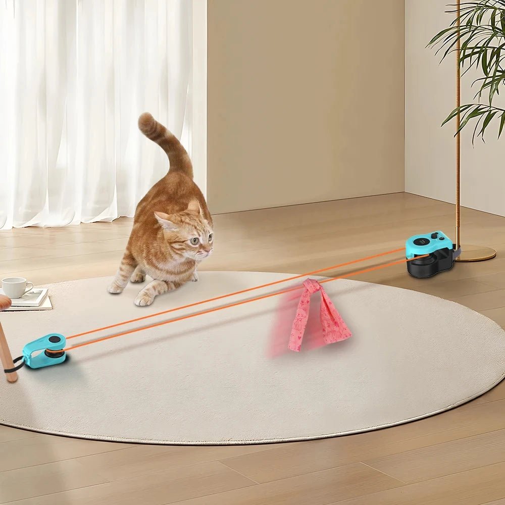 Jouet interactif pour chat actif - ChatMour