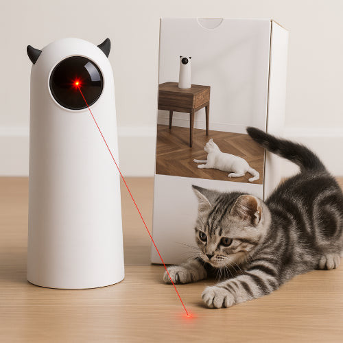 Jouet interactif pour chat chaton 