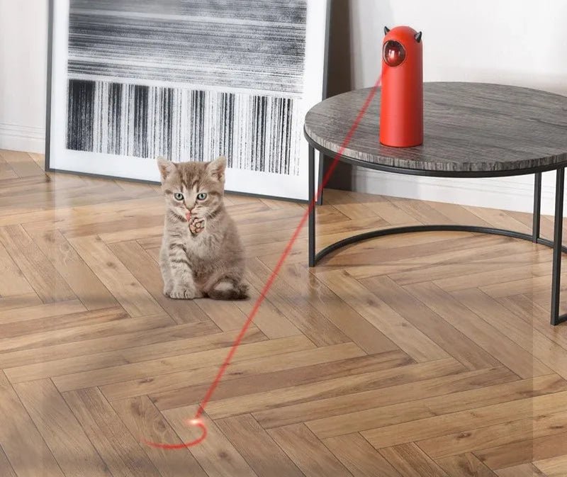 Jouet interactif pour chat - ChatMour