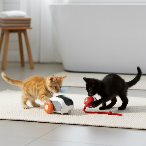 Jouet interactif pour chat rouge  balle