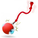 Jouet interactif pour chat - Vignette | ChatMour