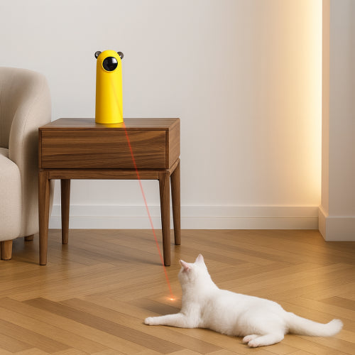 Jouet interactif pour chat salon 