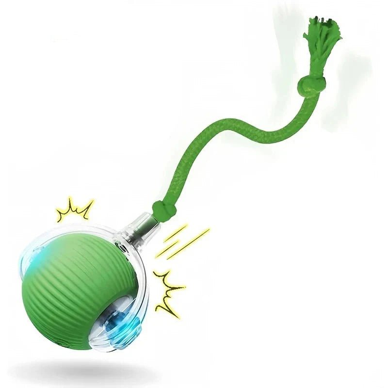 Jouet interactif pour chat - ChatMour