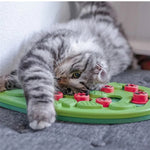Jouet pour chat interactif - Vignette | ChatMour