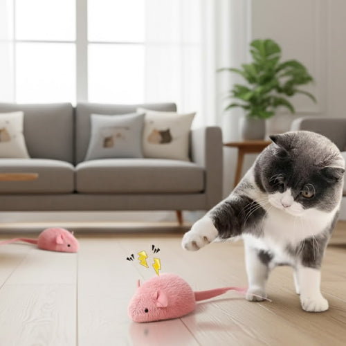 Jouet souris pour chat salon 