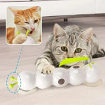 Jouets interactif pour chat - Vignette | ChatMour