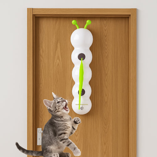 Jouets interactif pour chat porte
