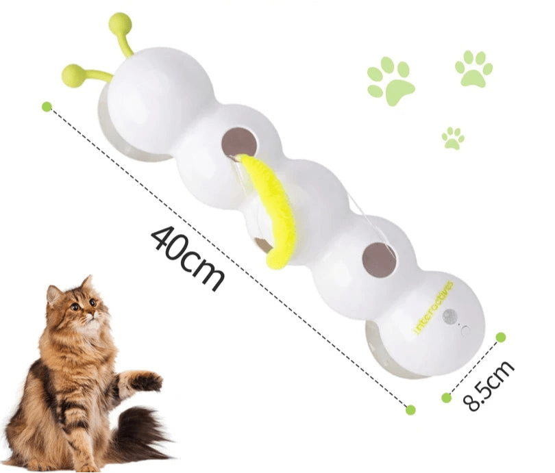 Jouets interactif pour chat - ChatMour