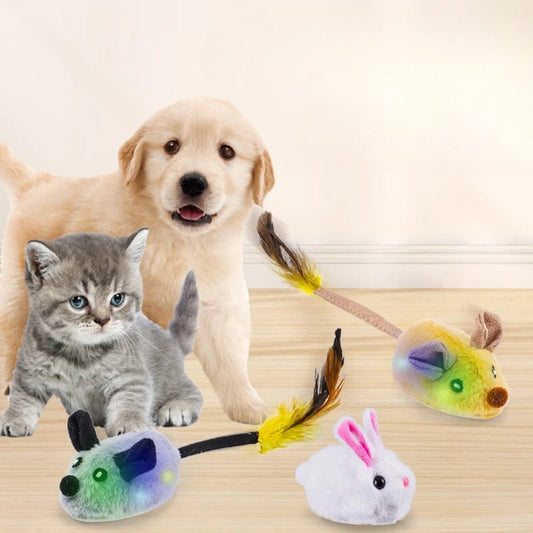 Jouets interactifs pour chat - ChatMour