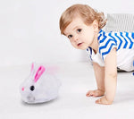 Jouets interactifs pour chat - Vignette | ChatMour