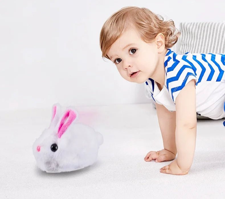 Jouets interactifs pour chat - ChatMour