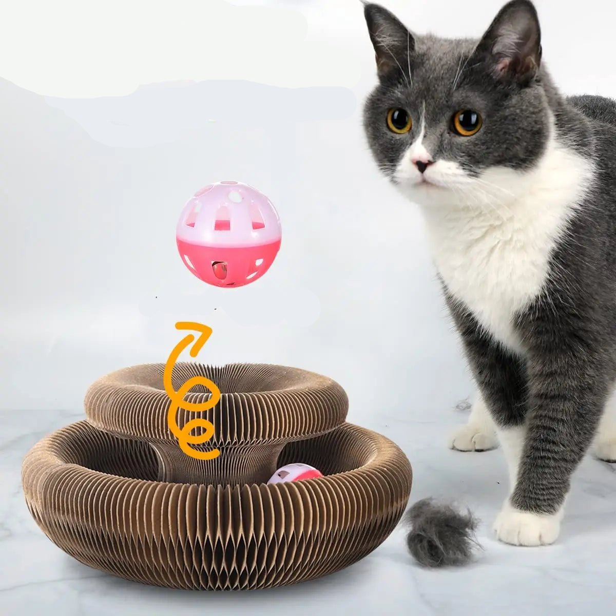 Jouets pour chats - ChatMour