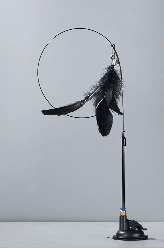 Jouets pour chats d'appartement - ChatMour