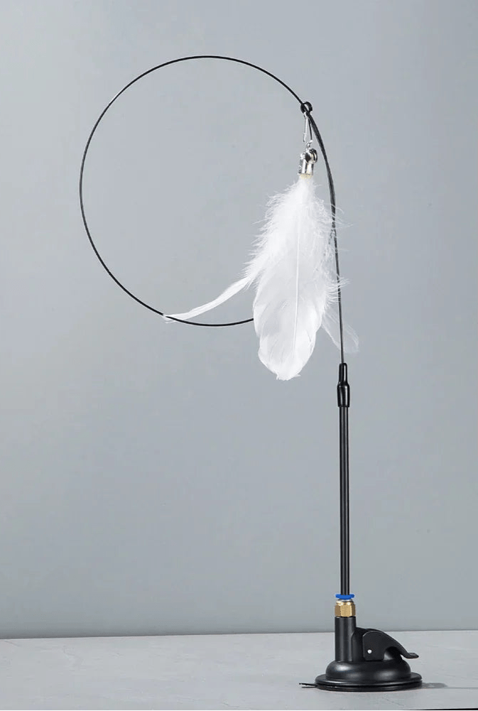 Jouets pour chats d'appartement - ChatMour