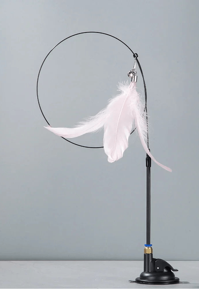 Jouets pour chats d'appartement - ChatMour