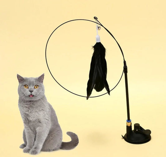 Jouets pour chats d'appartement - ChatMour
