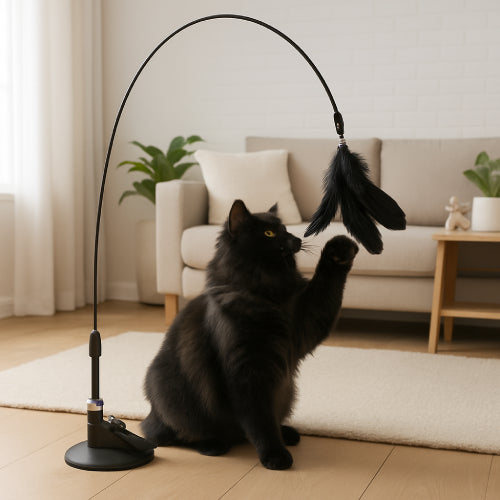Jouets pour chats d'appartement plume noire 