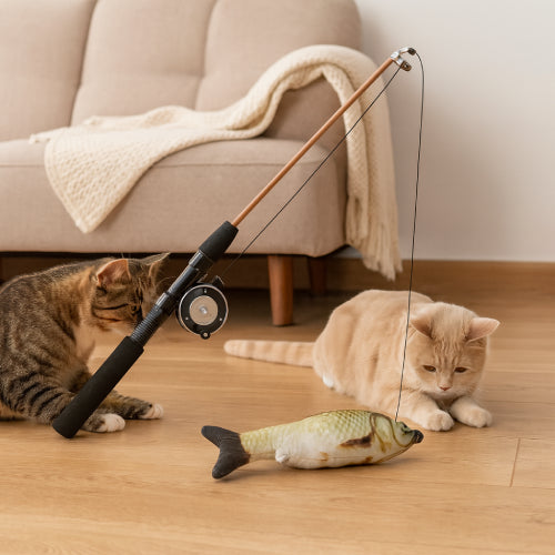 Jouets pour les chats salon 