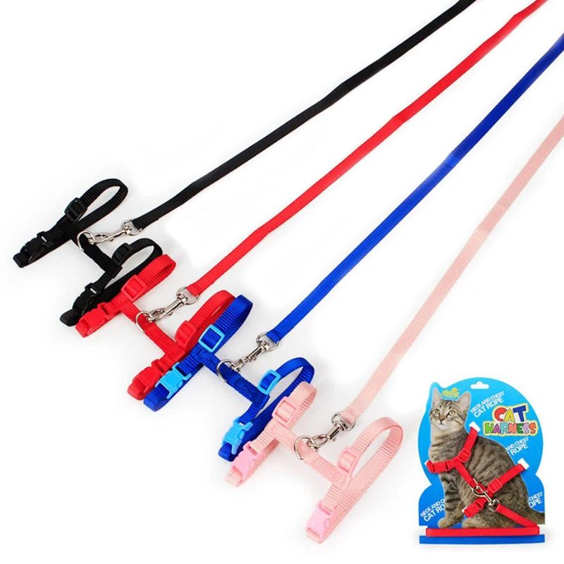 Laisse pour chat - ChatMour