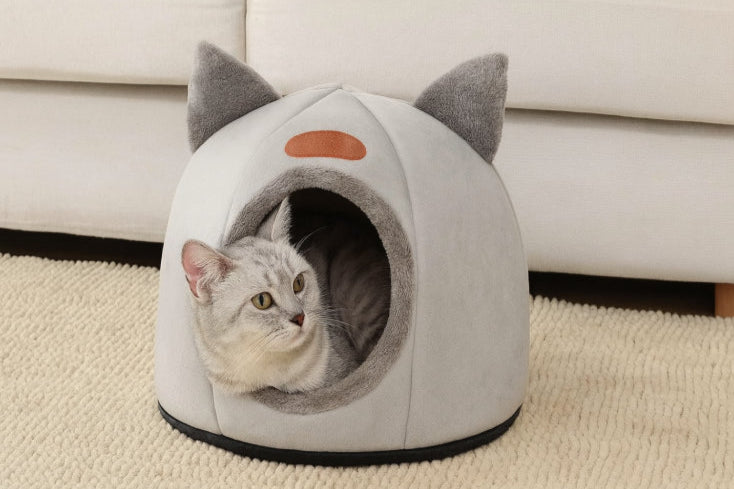 Lit hiver pour chat fenêtre