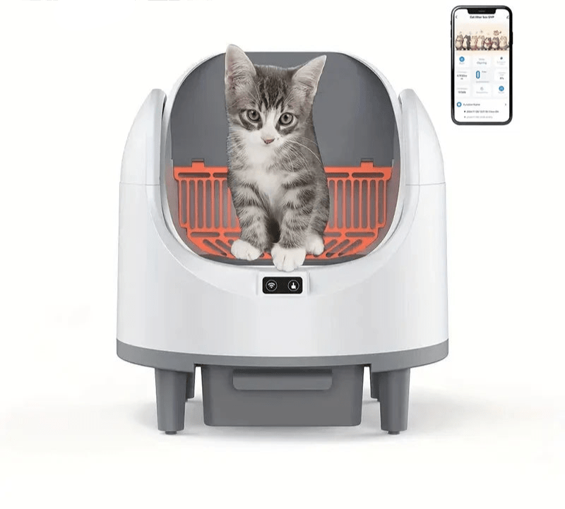 Litière automatique pour chat - ChatMour